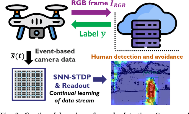Figure 2 for Continuously Learning to Detect People on the Fly: A Bio-inspired Visual System for Drones