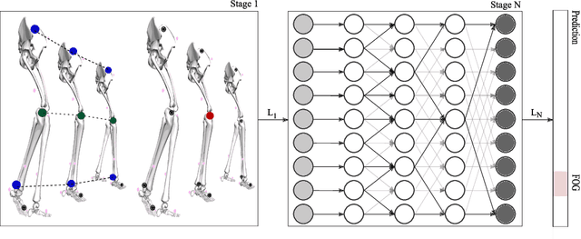 Figure 2 for Automated freezing of gait assessment with marker-based motion capture and multi-stage graph convolutional neural networks approaches expert-level detection