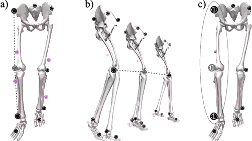 Figure 3 for Automated freezing of gait assessment with marker-based motion capture and multi-stage graph convolutional neural networks approaches expert-level detection