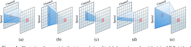 Figure 1 for Demystifying Local Vision Transformer: Sparse Connectivity, Weight Sharing, and Dynamic Weight