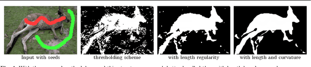 Figure 1 for A linear framework for region-based image segmentation and inpainting involving curvature penalization