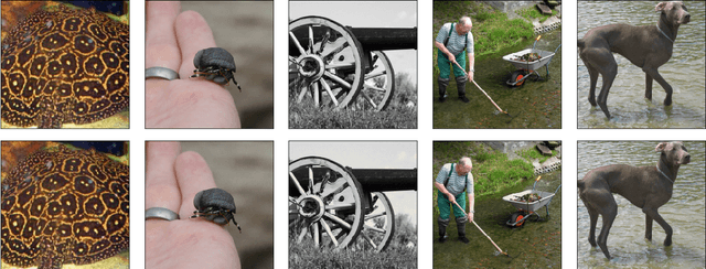 Figure 4 for Thundernna: a white box adversarial attack