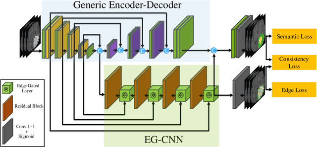 Figure 1 for Edge-Gated CNNs for Volumetric Semantic Segmentation of Medical Images