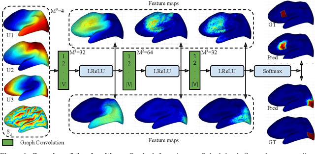 Figure 1 for Graph Convolutions on Spectral Embeddings: Learning of Cortical Surface Data