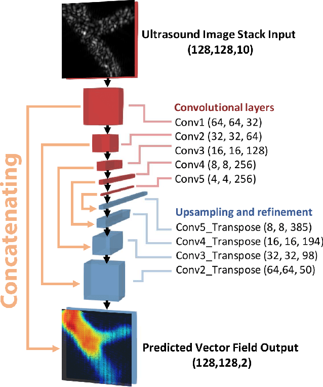 Figure 1 for Demonstration of Vector Flow Imaging using Convolutional Neural Networks