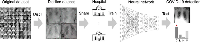 Figure 1 for Dataset Distillation for Medical Dataset Sharing