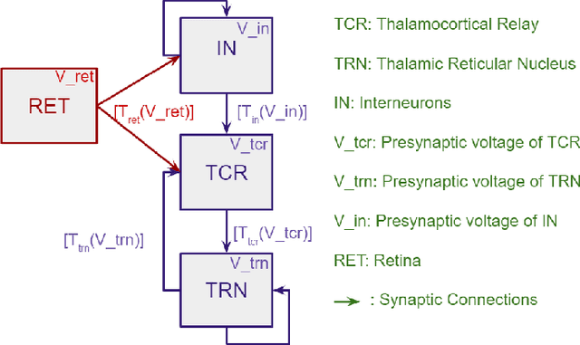 Figure 1 for Bayesian Optimisation for a Biologically Inspired Population Neural Network