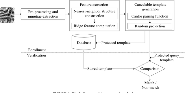 Figure 1 for A non-invertible cancelable fingerprint template generation based on ridge feature transformation