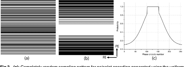 Figure 3 for Multichannel Compressive Sensing MRI Using Noiselet Encoding