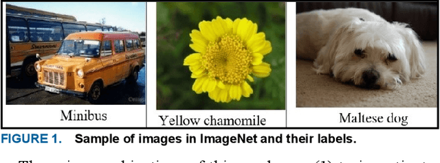 Figure 1 for Image Classification for Arabic: Assessing the Accuracy of Direct English to Arabic Translations