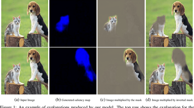 Figure 1 for Real Time Image Saliency for Black Box Classifiers