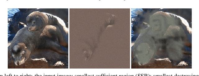 Figure 3 for Real Time Image Saliency for Black Box Classifiers