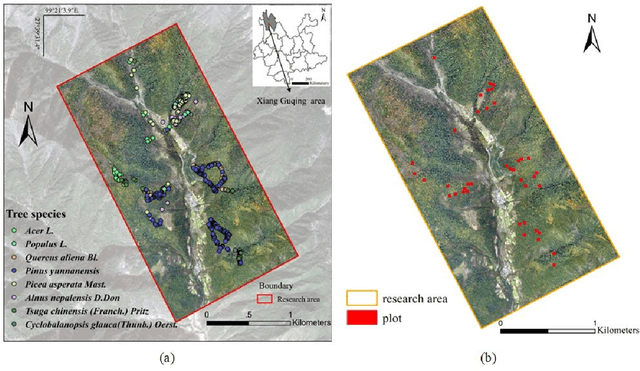 Figure 3 for Information fusion approach for biomass estimation in a plateau mountainous forest using a synergistic system comprising UAS-based digital camera and LiDAR