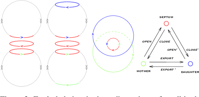 Figure 4 for Increased Complexity and Fitness of Artificial Cells that Reproduce Using Spatially Distributed Asynchronous Parallel Processes