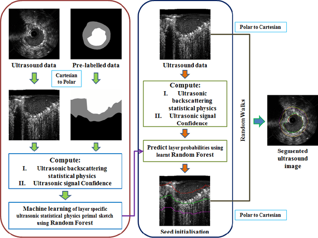 Figure 1 for Segmentation of Lumen and External Elastic Laminae in Intravascular Ultrasound Images using Ultrasonic Backscattering Physics Initialized Multiscale Random Walks