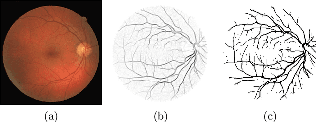 Figure 1 for Brain-inspired algorithms for processing of visual data