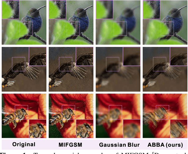 Figure 1 for ABBA: Saliency-Regularized Motion-Based Adversarial Blur Attack