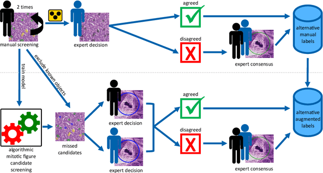 Figure 3 for Are pathologist-defined labels reproducible? Comparison of the TUPAC16 mitotic figure dataset with an alternative set of labels