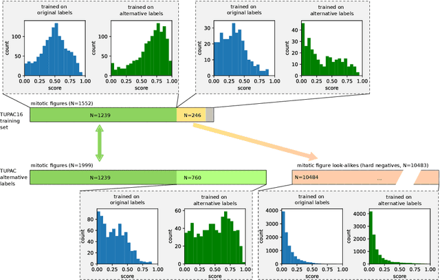 Figure 4 for Are pathologist-defined labels reproducible? Comparison of the TUPAC16 mitotic figure dataset with an alternative set of labels