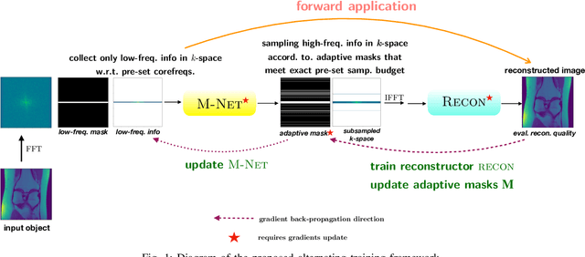 Figure 1 for Single-pass Object-adaptive Data Undersampling and Reconstruction for MRI