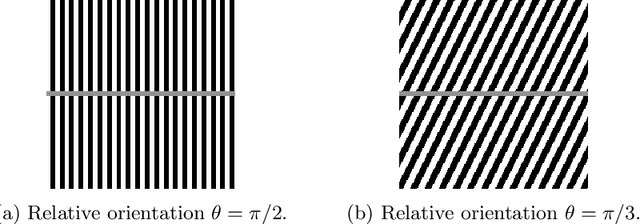 Figure 1 for A cortical-inspired model for orientation-dependent contrast perception: a link with Wilson-Cowan equations