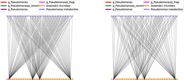 Figure 3 for MoReL: Multi-omics Relational Learning