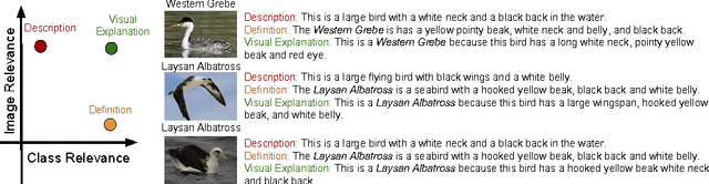 Figure 1 for Generating Visual Explanations