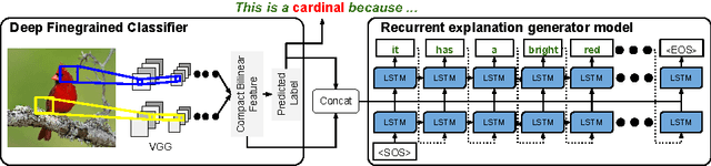 Figure 3 for Generating Visual Explanations