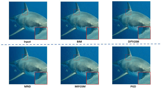 Figure 1 for Minimum Noticeable Difference based Adversarial Privacy Preserving Image Generation