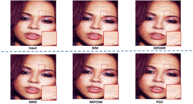 Figure 2 for Minimum Noticeable Difference based Adversarial Privacy Preserving Image Generation