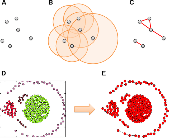 Figure 3 for Four Classes of Morphogenetic Collective Systems