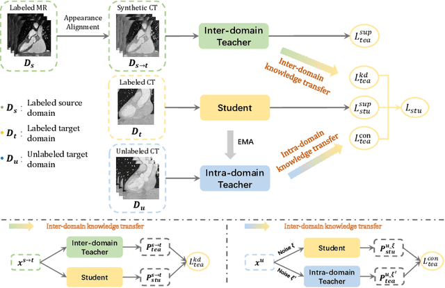 Figure 1 for Dual-Teacher: Integrating Intra-domain and Inter-domain Teachers for Annotation-efficient Cardiac Segmentation