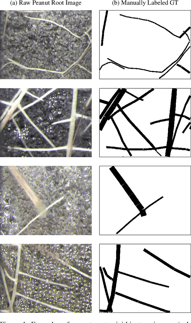 Figure 1 for Overcoming Small Minirhizotron Datasets Using Transfer Learning