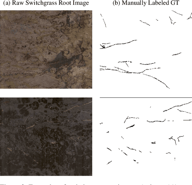 Figure 3 for Overcoming Small Minirhizotron Datasets Using Transfer Learning