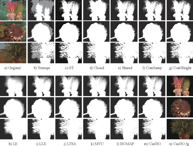 Figure 2 for Patch alignment manifold matting