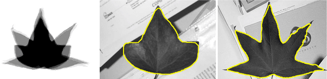 Figure 4 for Iterative graph cuts for image segmentation with a nonlinear statistical shape prior
