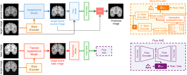 Figure 2 for Self-Supervised Generative Style Transfer for One-Shot Medical Image Segmentation