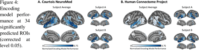 Figure 4 for Same Cause; Different Effects in the Brain
