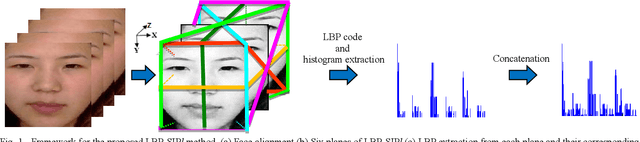 Figure 1 for Automatic Micro-Expression Apex Frame Spotting using Local Binary Pattern from Six Intersection Planes