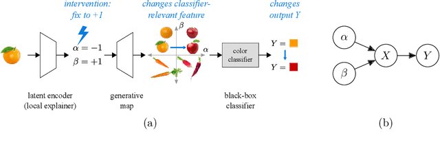 Figure 1 for Generative causal explanations of black-box classifiers