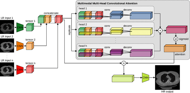 Figure 1 for Multimodal Multi-Head Convolutional Attention with Various Kernel Sizes for Medical Image Super-Resolution
