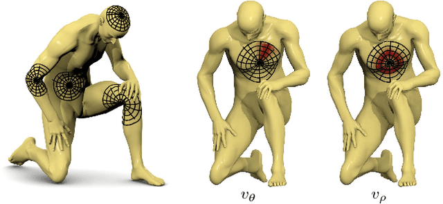Figure 1 for Geodesic convolutional neural networks on Riemannian manifolds