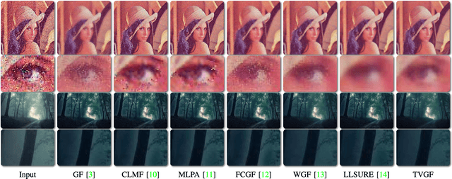 Figure 3 for Interpreting and Extending The Guided Filter Via Cyclic Coordinate Descent