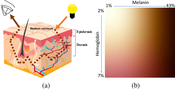 Figure 1 for Decomposing multispectral face images into diffuse and specular shading and biophysical parameters