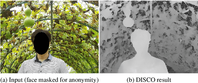 Figure 1 for DISCO: Depth Inference from Stereo using Context