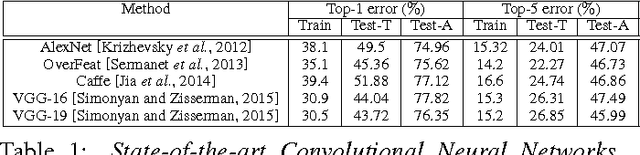 Figure 1 for The Role of Typicality in Object Classification: Improving The Generalization Capacity of Convolutional Neural Networks