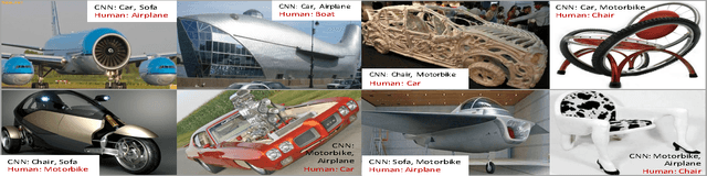 Figure 2 for The Role of Typicality in Object Classification: Improving The Generalization Capacity of Convolutional Neural Networks