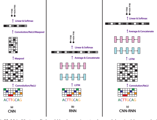 Figure 1 for Deep Motif Dashboard: Visualizing and Understanding Genomic Sequences Using Deep Neural Networks