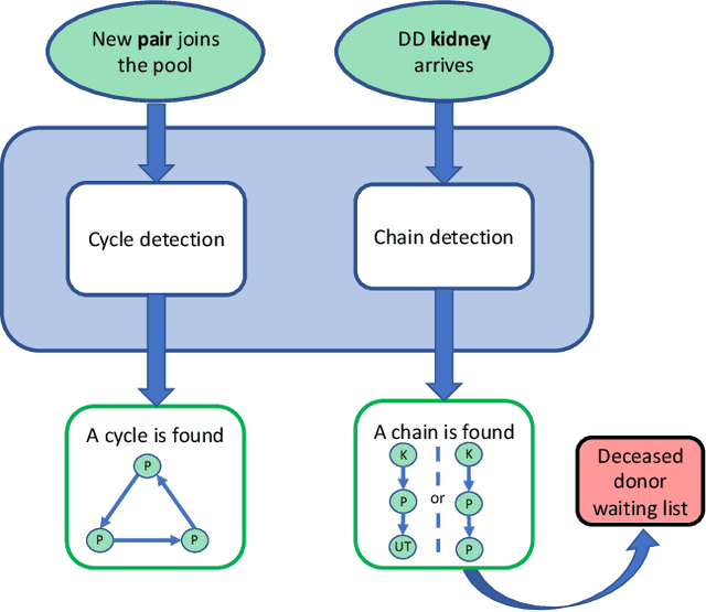Figure 1 for Using deceased-donor kidneys to initiate chains of living donor kidney paired donations: algorithms and experimentation
