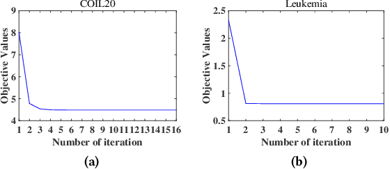 Figure 3 for Manifold Adaptive Multiple Kernel K-Means for Clustering